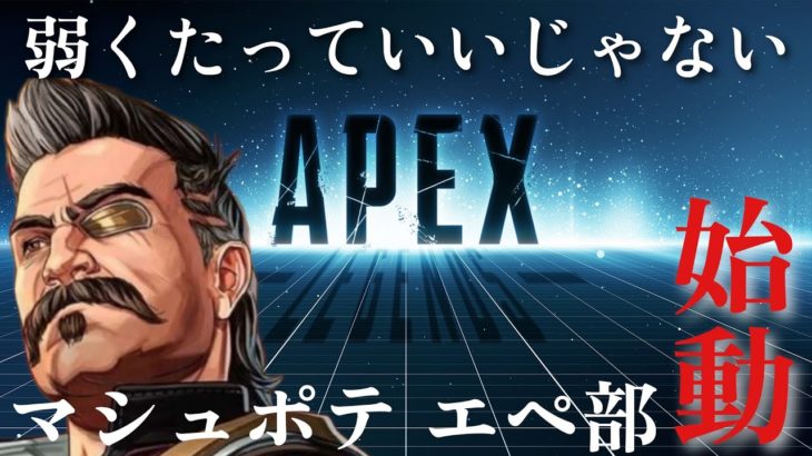 [永遠の初心者がランク頑張る配信］目指せ登録者1000人！現在324人目　配信124回目雑談大歓迎！＃初心者　大歓迎！ ＃apex ＃フォートナイト　＃ガフ　＃ゼロビルド #MPT