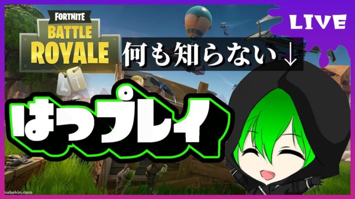 【Fortnite】人生初フォートナイト！？ゲーム画面すらわからない初心者がバトロワに参加してきてな､､､ｲｶ?