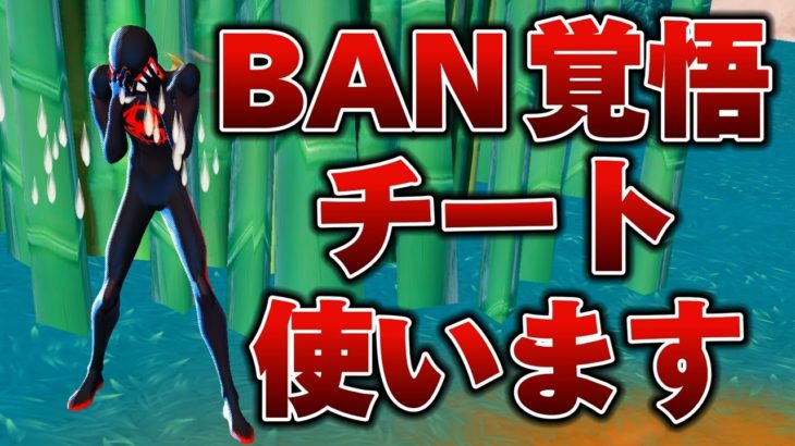 【フォートナイト荒らしたったww】BAN覚悟でチート使います。【フォートナイト】【フォトナ】【fortnite】 #フォートナイト ＃荒らし #キッズ