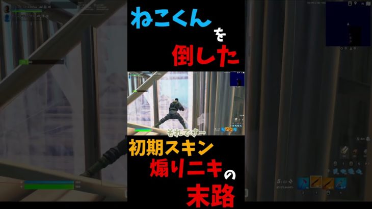 ねこくんを倒したキッズがヤバすぎるwwww #フォートナイト #fortnite #バズれ #スイッチ勢 #switch勢 #shorts #ねこくん