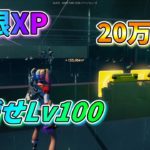 【フォートナイト】 チャプター4シーズン4 無限XP 20万XP超え！レベル上げ目指せLv100 27