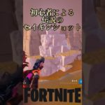 フォートナイト初心者が配信中にまさかのセイキンショット【Fortnite/フォートナイト】 #フォートナイト #fortnite #epic