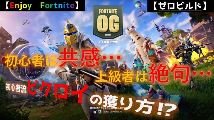 【Fortnite】初心者流ビクロイの取り方　#Fortnite　#フォートナイト　#初心者