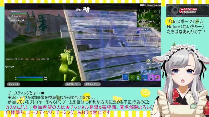 【フォートナイト】カスタムマッチ　バトロワ一緒にあそぼ🎮   初心者🔰OK 　ライブ 配信  #vtuber  #あんりある　#fortnite　参加型