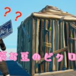 【フォートナイト】ゼロビルダーが建築有りでビクロイしたった！