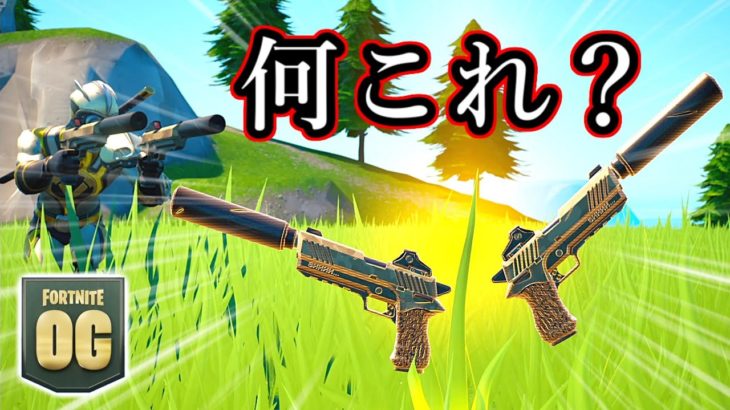 【フォートナイト】こんな武器あったっけ…？