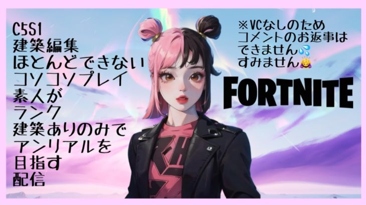 530　フォートナイトランク建築ありのみ1時間ソロでアンリアルを目指す無言配信10日目朝　C5S1