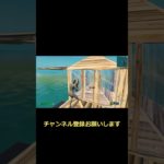 【フォートナイト】初心者いじめてみたｗ #Shorts  #フォートナイト