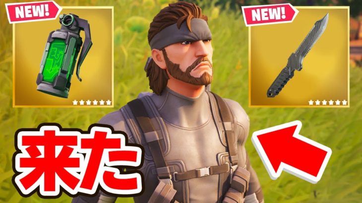 スネークが来た！【フォートナイト / Fortnite】