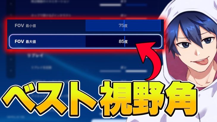 最強メタは最小値！？視野角は絶対に変えろ！！【フォートナイト/Fortnite】