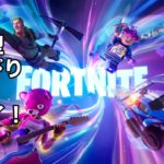 フォートナイト 参加型 生配信！初心者歓迎 スクワッド ゼロビルド【Nintendo Switch ニンテンドー スイッチ】フレンド募集中！まったりプレイ FORTNITE