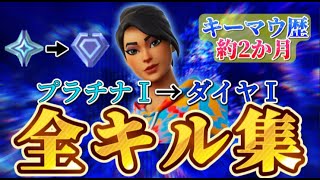 【フォートナイト】初心者のプラチナ帯全キル集！/y_28 Highlights #9