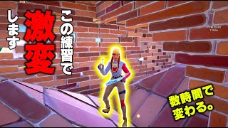 54歳の方がダイヤランクを全く戦えないからビクロイに進化した【フォートナイト/Fortnite】