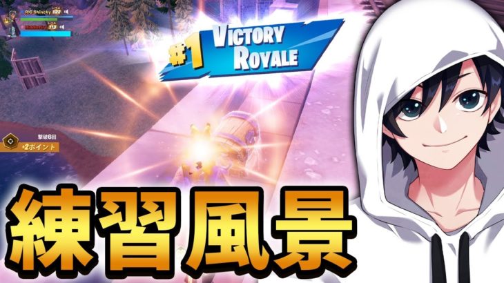 復帰したデュオのスクリム！FNCSヒート準決勝応援よろしくお願いします！！【Fortnite/フォートナイト】