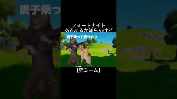 フォートナイト猫ミーム再現 #フォートナイト #fortnite #猫ミーム #shorts