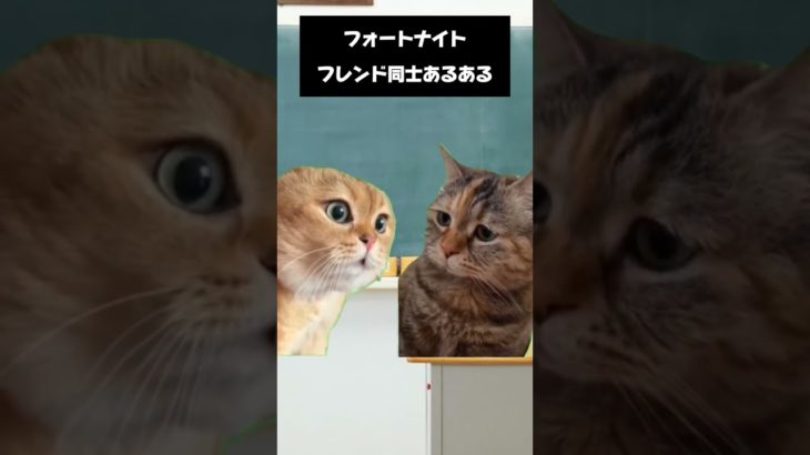 ねこみーむでフォートナイトあるある