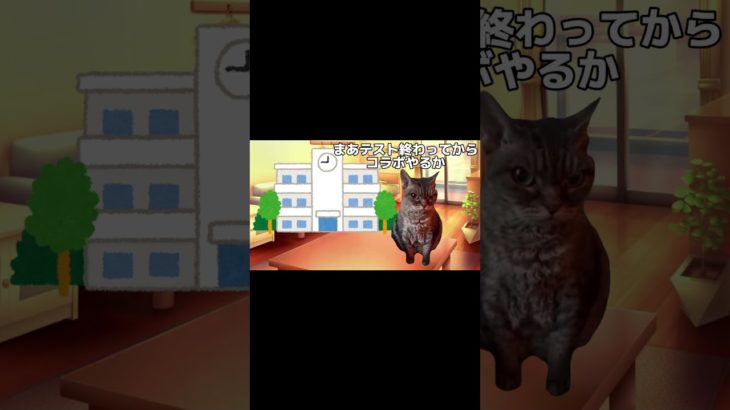 フォートナイト 猫ミーム #フォートナイト #猫ミーム