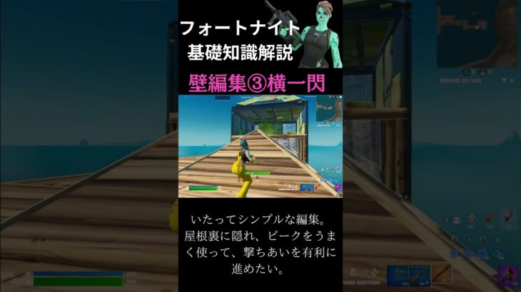 【Plus α Community】基礎知識解説　壁編集編その３【Fortnite/フォートナイト】#fortnite #解説 #初心者向け #基礎