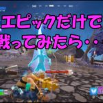 フォートナイト　武器「エピック」だけで戦ってみたら・・・。”建築”が使えないバグ発生。Today I played the Fortnite game using only epic weapons.