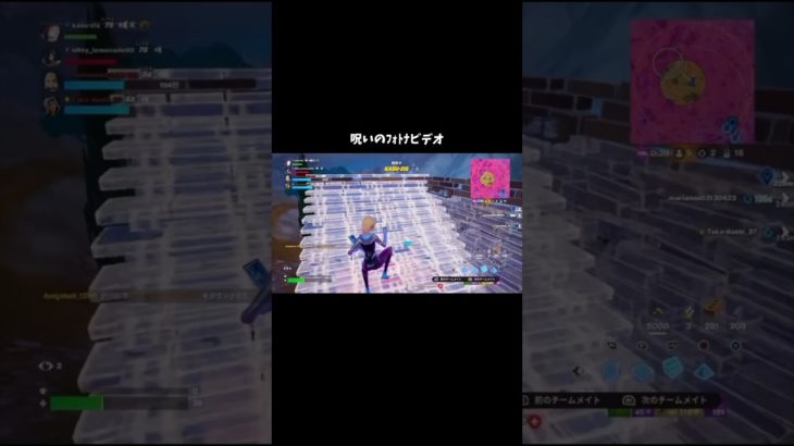 映っちゃったw【フォートナイト/Fortnite】