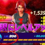 【最速レベル上げ】完全放置で無限にレベルアップ！？一瞬で30万XP稼げるチート級の神マップを紹介します！【フォートナイト】