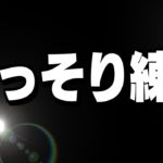 3時だよ。何してるのこんな時間に【フォートナイト】