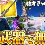 【革命】やっと追加された待望の新スナイパー！DFM Rainyとアンリアル帯で超無双！！【フォートナイト/Fortnite】