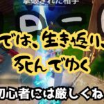 【Fortnite】【リロード】これは鬼畜！！　初心者泣かせのリロード！！だけど楽しいぞ！！　親子実況ﾌｫｰﾄﾅｲﾄ