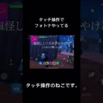 ワレ、そこにおったんか！！！　タッチ操作のねこです。ゲーム初心者すぎてコントローラーむず過ぎてタッチ操作でフォトナやってまふw #ゲーム初心者 #フォートナイト #フォトナ #タッチ操作