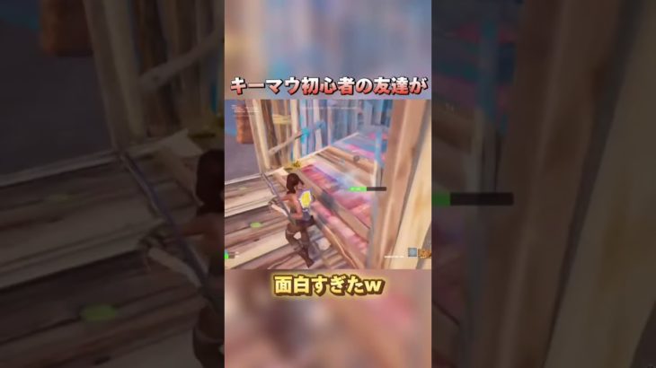 キーマウ初心者面白すぎたw #フォートナイト #fortnite #ゲーム #るいす #チャンネル登録お願いします