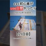 【フォートナイト】1v1初心者が100日間やったらどれだけ上手くなるのか？【17日目】 #フォートナイト #fortnite #フォトナ