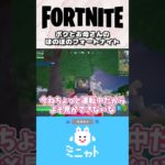 見れなければ音だけでも聞いてほしいミニャト【フォートナイト/Fortnite】