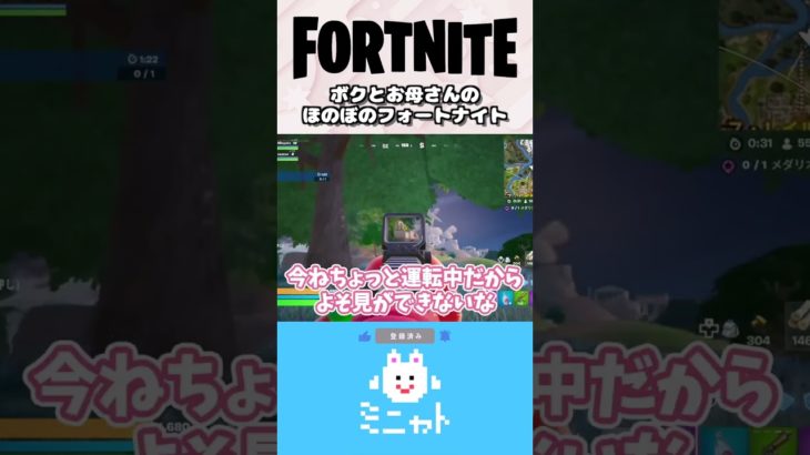 見れなければ音だけでも聞いてほしいミニャト【フォートナイト/Fortnite】