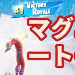 【フォートナイト/Fortnite】マッサマン!?マグニートーなら初心者でもビクロイ余裕説　#marvel #fortnite #zerobuild #GP