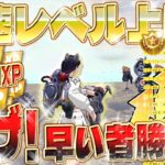 【フォートナイト無限XP】バトルパス報酬をコンプリートしたい人は絶対見て！ 初心者 必見！最大50万XPを稼げる 最新 マップがヤバイwww！最速レベル上げ！ #fortnite