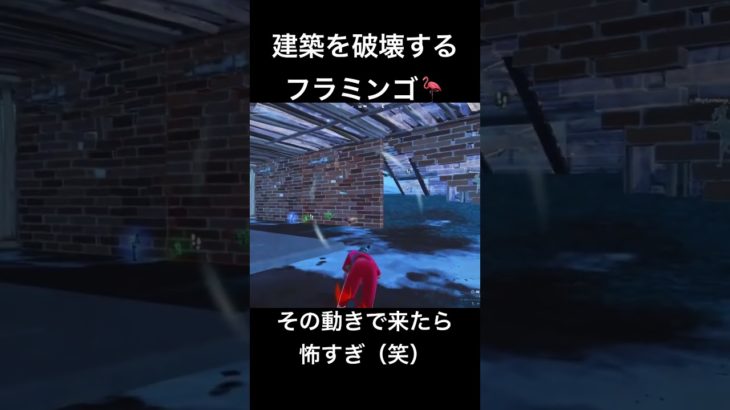 ニトロで建築を破壊するフラミンゴ🦩　#フォートナイト #fortnite #フォトナ #騒音のない世界