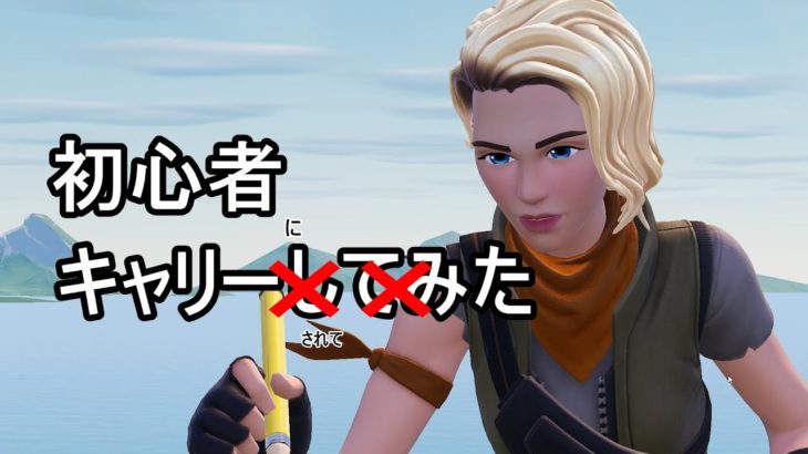 【フォートナイト】初心者キャリーしてみた？#fortnite #fortniteclips #フォートナイト #フォトナ #初心者