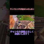 情報量ちょっと多いて【fortnite/フォートナイト】#shorts #fortnite #フォートナイト