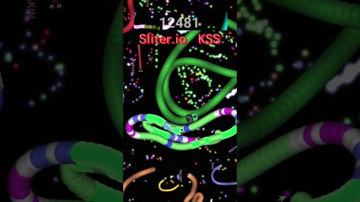 #sliter.io #shorts   #フォートナイト  #snake #KSS #スリザリオ　#初心者