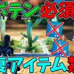 【フォートナイト】回復アイテム禁止縛りに挑戦！はたしてビクロイできるのか！？【ゆっくり実況】