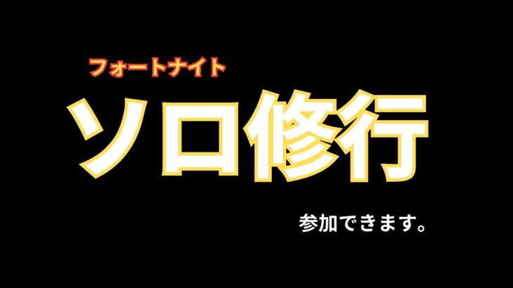 フォートナイト 【FORTNITE】 ソロ修行