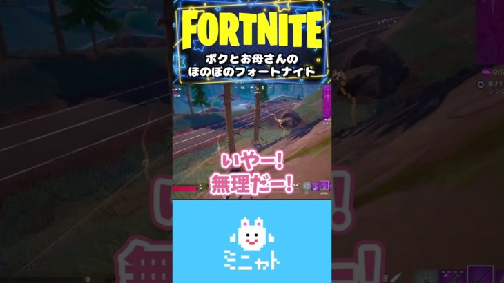 ボクとお母さんのほのぼのフォートナイト【Fortnite】