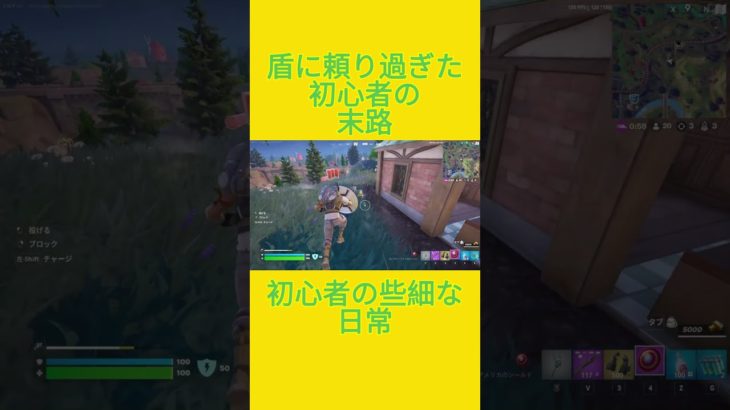 初心者の些細な日常　[Fortnite]  #フォートナイト #fortnite　#チャプター５シーズン４　#初心者