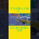 初心者の些細な日常　[Fortnite]  #フォートナイト #fortnite　#チャプター５シーズン４　#初心者