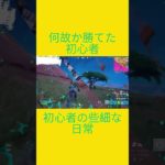 初心者の些細な日常 [Fortnite] #フォートナイト  #fortnite