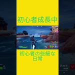 初心者の些細な日常　[Fortnite]  #フォートナイト #fortnite　#チャプター５シーズン４　#初心者