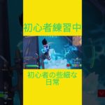 初心者の些細な日常　[Fortnite]  #フォートナイト #fortnite　#チャプター５シーズン４　#初心者