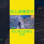 初心者の些細な日常　[Fortnite]  #フォートナイト #fortnite　#チャプター５シーズン４　#初心者