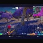 フォートナイト初心者配信　Fortnite_20240830023120