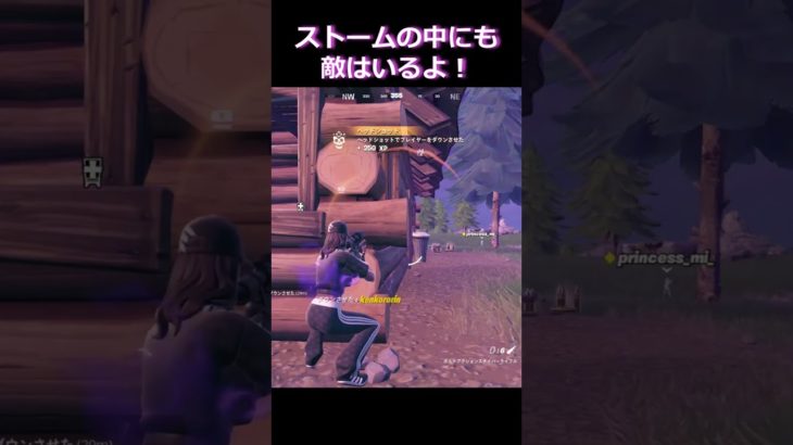 ストームの中で敵と遭遇#フォートナイト #fortniteshorts